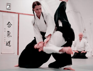 proyecciones aikido